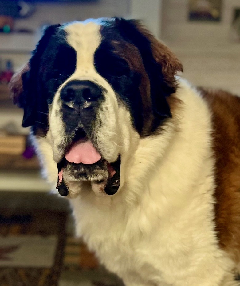 Gordie